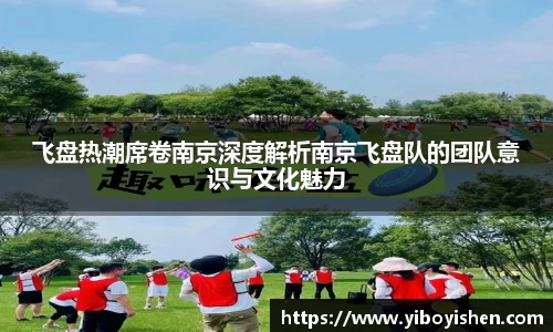 飞盘热潮席卷南京深度解析南京飞盘队的团队意识与文化魅力
